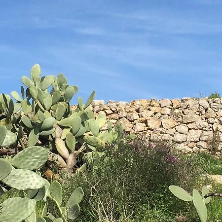 Bed & Breakfast La Casa Di Gioia 3*